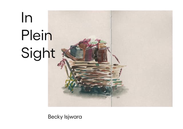 In Plein Sight cover