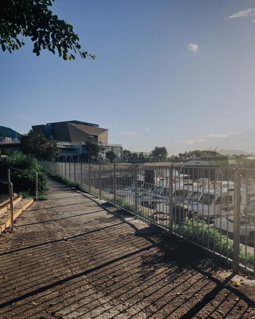 golden hour shadows...