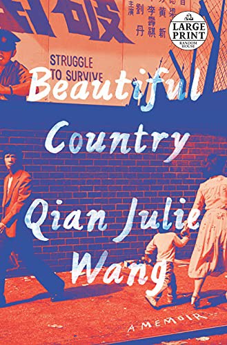 Beautiful Country cover