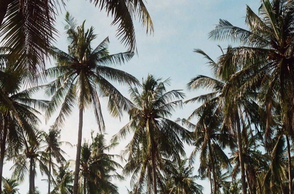 Bali