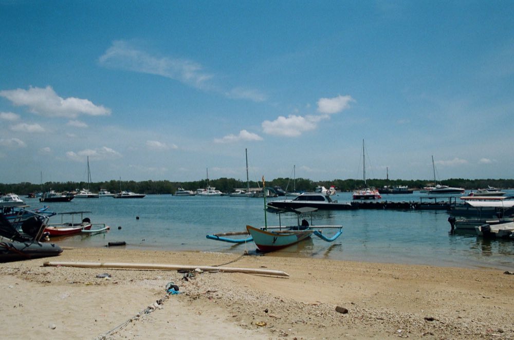 The harbour