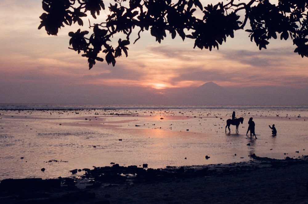 The beach