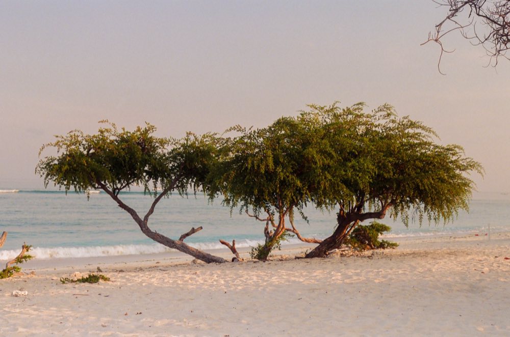 Gili Meno