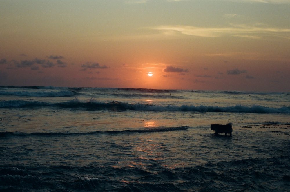 Dawn