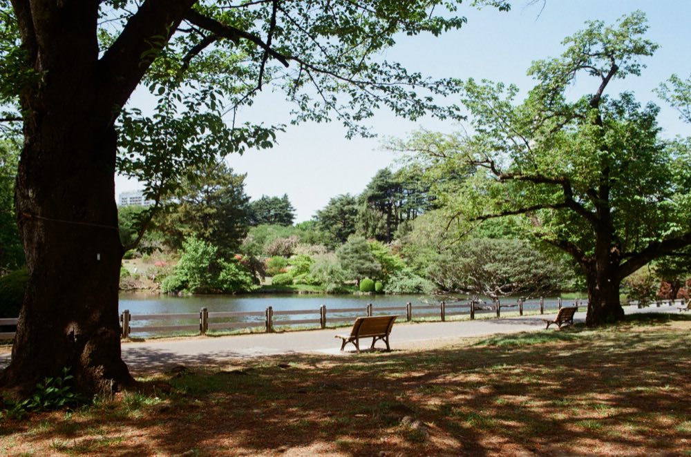 Yoyogi Park