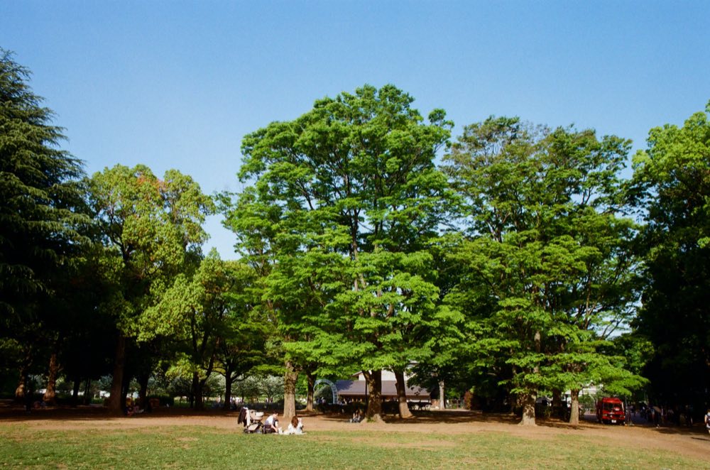 Yoyogi Park