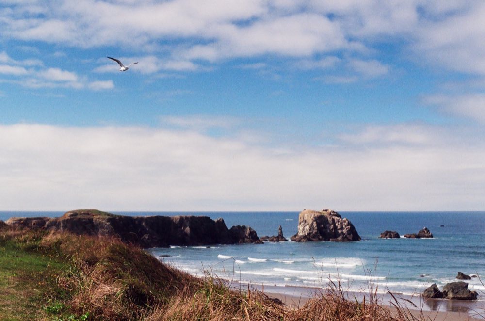 Oregon Coast