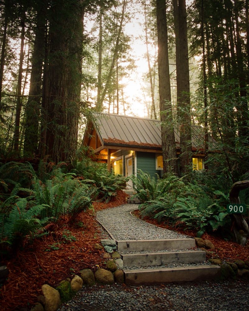 Fern Hook Cabins
