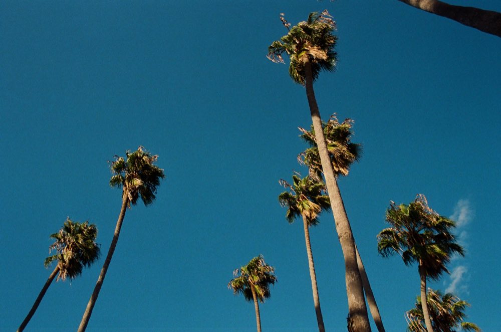 Santa Barbara